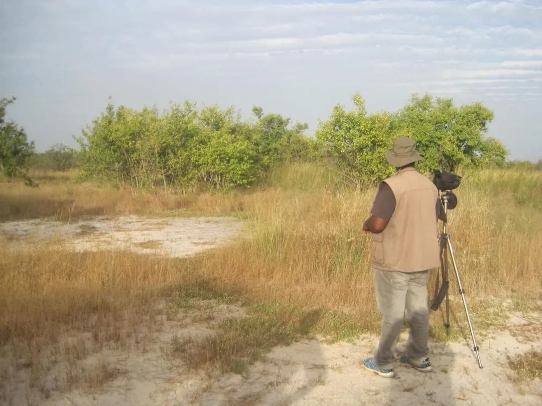 Kiang West National Park